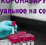 Коронавирус: новости на сегодня - Заводоуковский городской округ