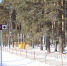 • Сквер воинской славы – одно из любимых мест отдыха заводоуковцев. - Zavodoukovsk.Online