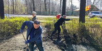 avatars.dzeninfra.ru - Zavodoukovsk.Online