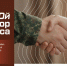 "СВОй вектор бизнеса" - Заводоуковский городской округ
